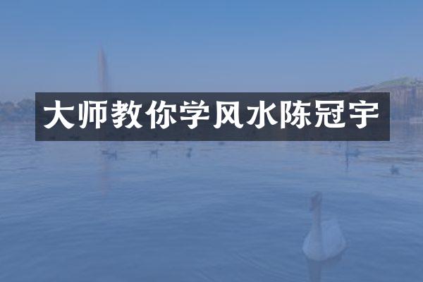 大师教你学风水陈冠宇