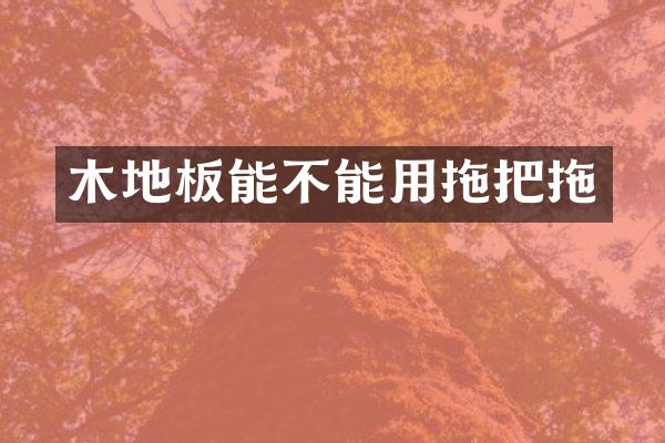 木地板能不能用拖把拖