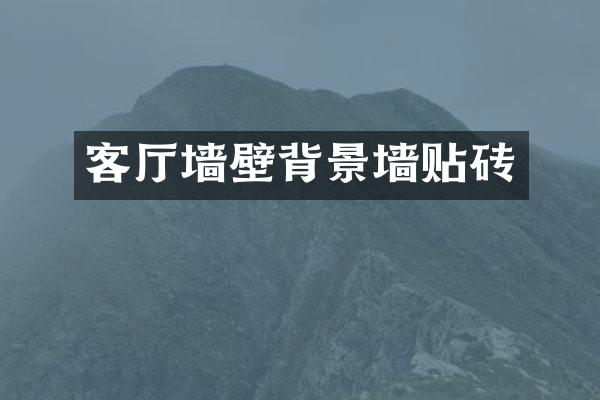 客厅墙壁背景墙贴砖