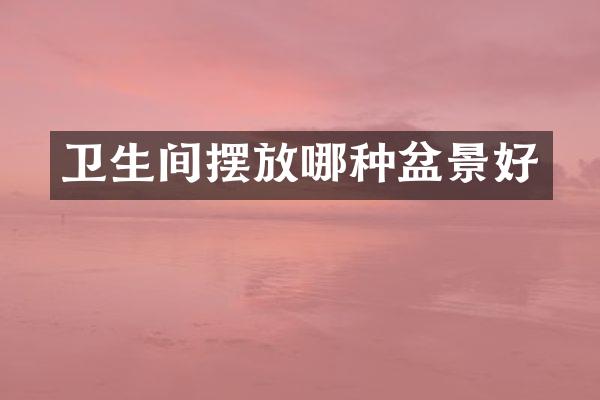 卫生间摆放哪种盆景好