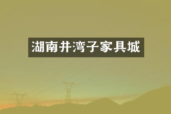 湖南井湾子家具城