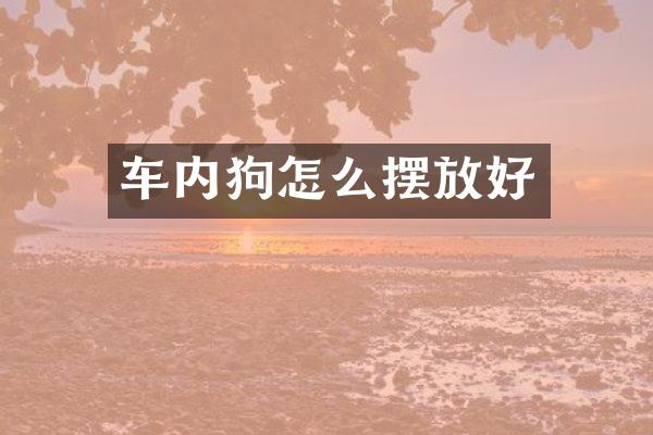 车内狗怎么摆放好
