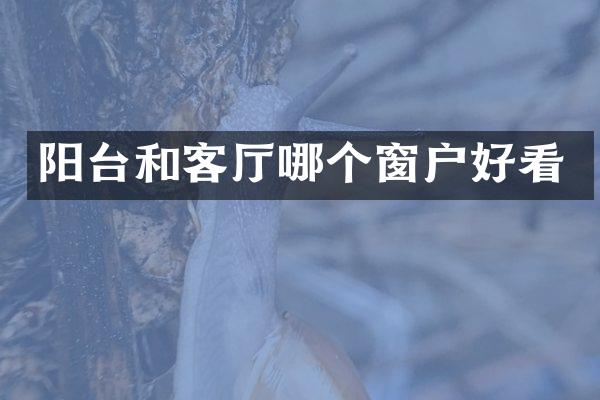 阳台和客厅哪个窗户好看