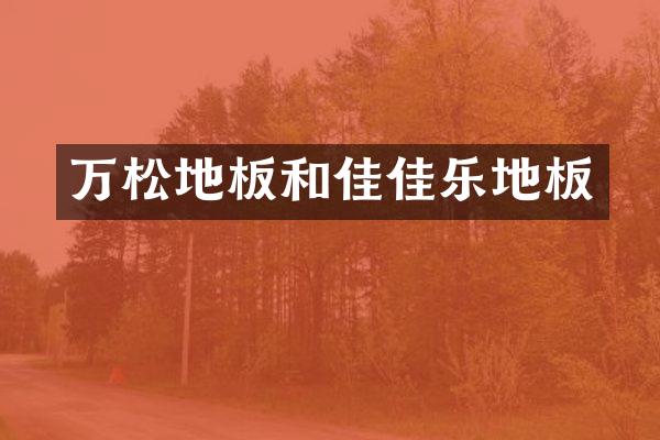 万松地板和佳佳乐地板