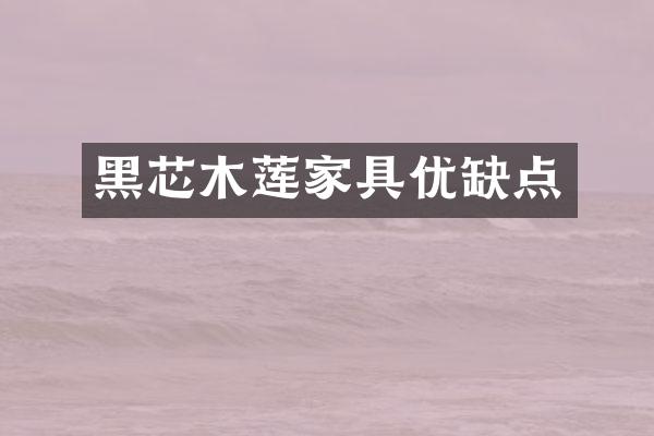 黑芯木莲家具优缺点