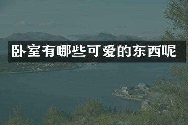 卧室有哪些可爱的东西呢