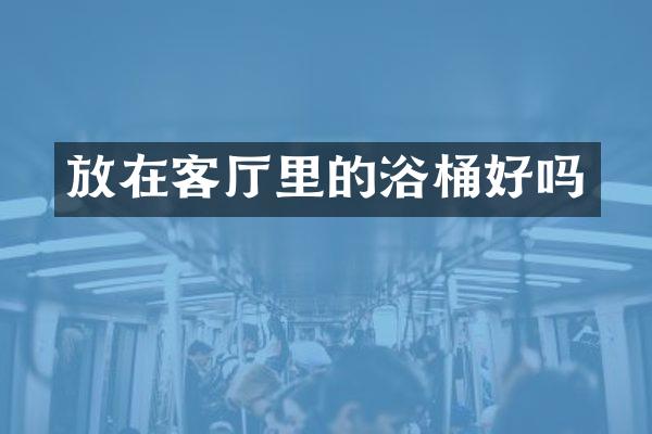 放在客厅里的浴桶好吗