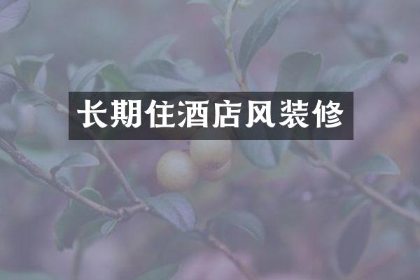 长期住酒店风装修