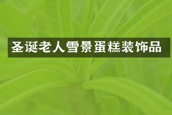 圣诞老人雪景蛋糕装饰品