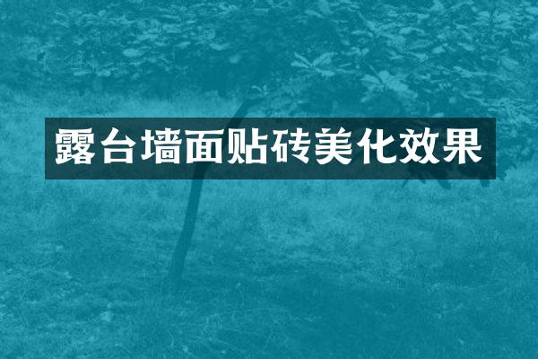 露台墙面贴砖美化效果