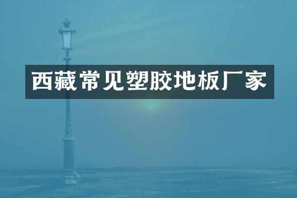 西藏常见塑胶地板厂家