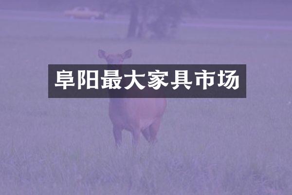 阜阳最大家具市场