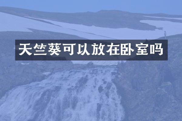 天竺葵可以放在卧室吗