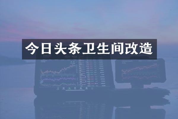 今日头条卫生间改造