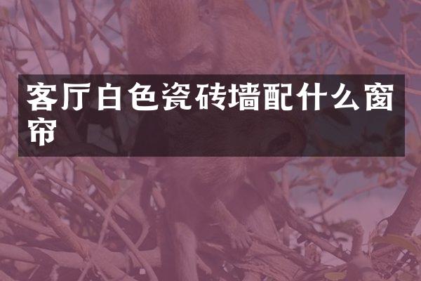 客厅白色瓷砖墙窗帘