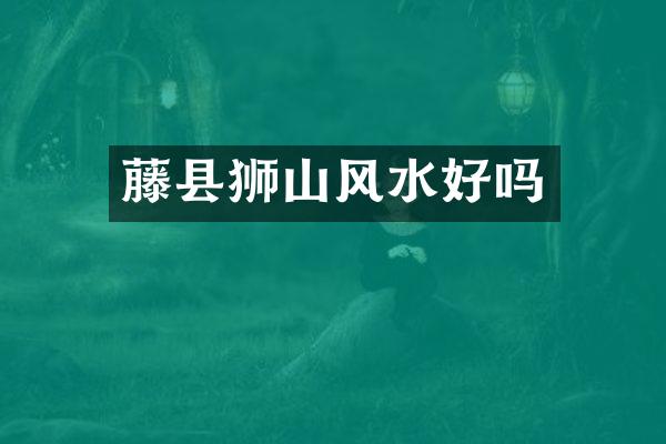 藤县狮山风水好吗