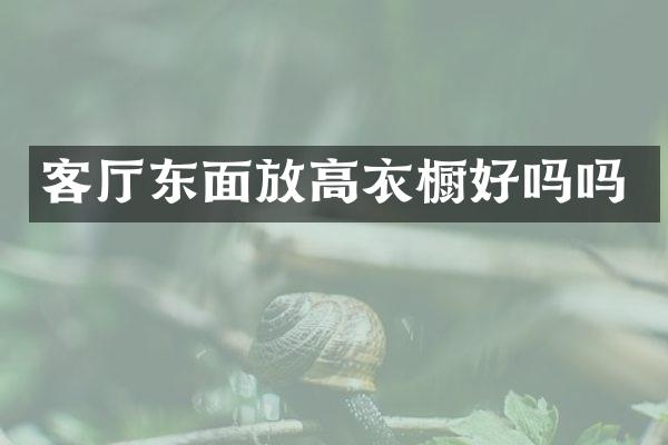客厅东面放高衣橱好吗吗