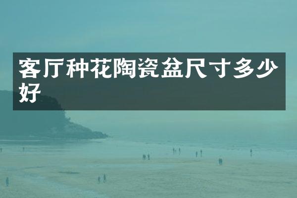 客厅种花陶瓷盆尺寸多少好