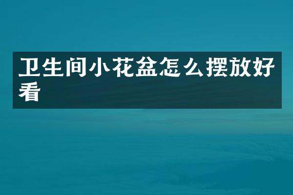 卫生间小花盆怎么摆放好看