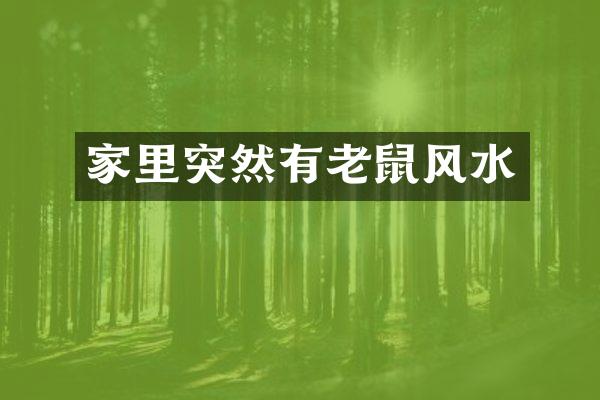 家里突然有老鼠风水