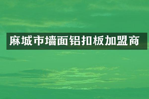 麻城市墙面铝扣板加盟商