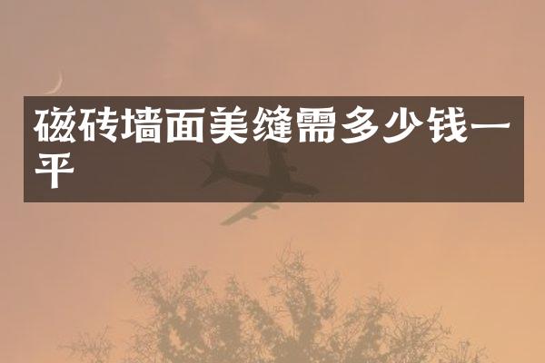磁砖墙面美缝需多少钱一平