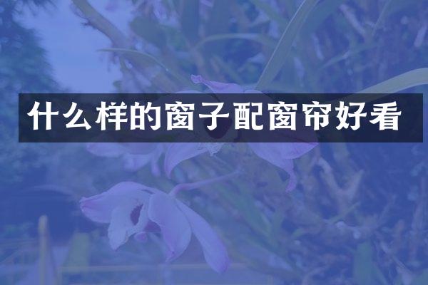 什么样的窗子配窗帘好看