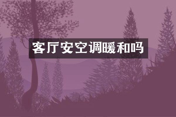 客厅安空调暖和吗