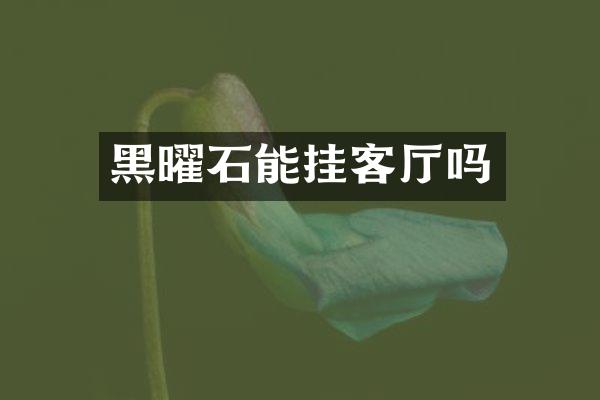 黑曜石能挂客厅吗