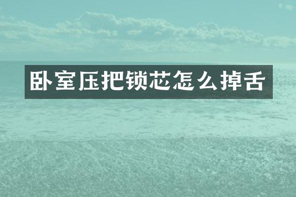 卧室压把锁芯怎么掉舌