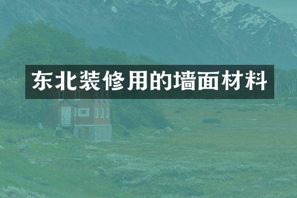 东北装修用的墙面材料