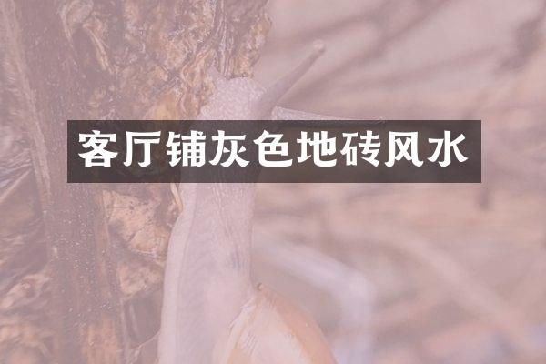 客厅铺灰色地砖风水