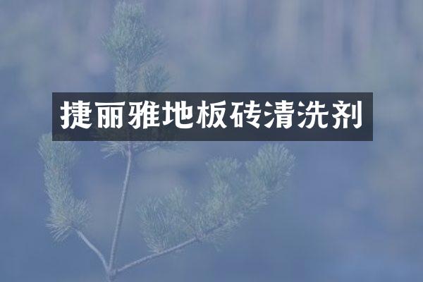 捷丽雅地板砖清洗剂