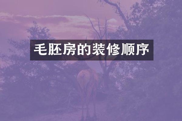 毛胚房的装修顺序
