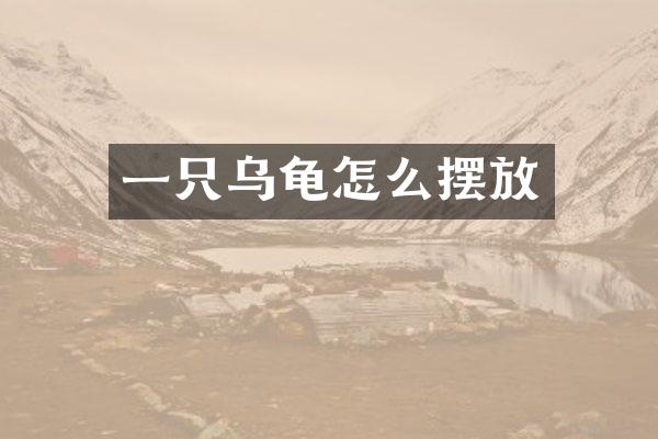 一只乌龟怎么摆放