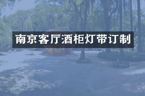 南京客厅酒柜灯带订制