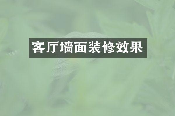 客厅墙面装修效果