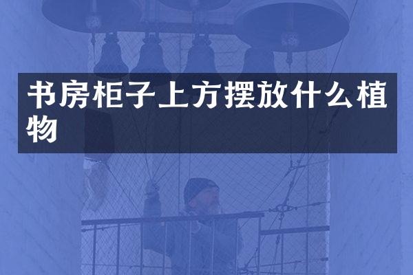书房柜子上方摆放什么植物