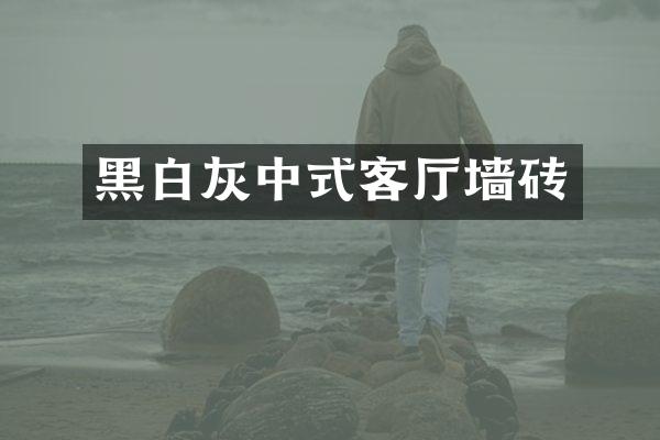 黑白灰中式客厅墙砖