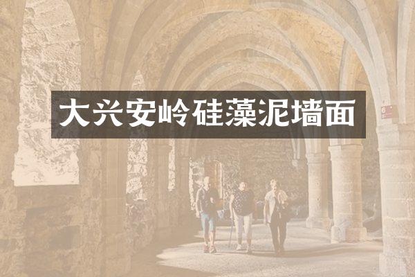 大兴安岭硅藻泥墙面