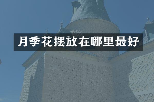 月季花摆放在哪里最好