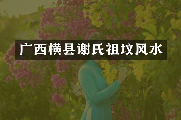 广西横县谢氏祖坟风水