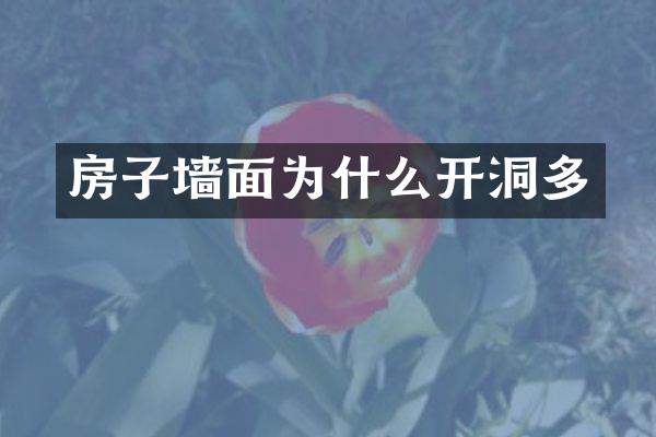 房子墙面为什么开洞多