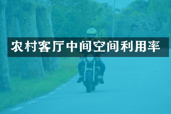 农村客厅中间空间利用率