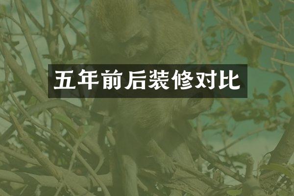 五年前后装修对比