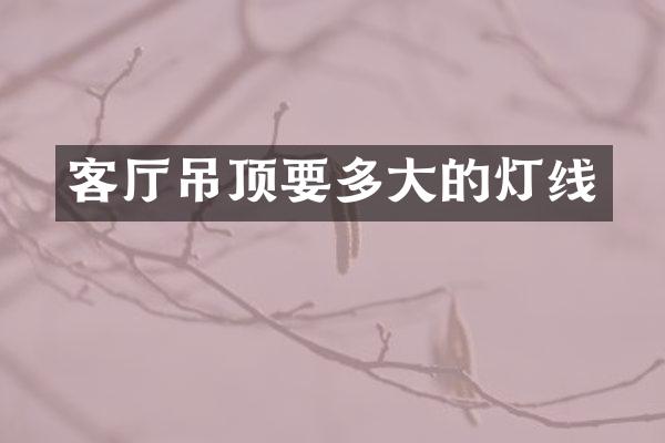客厅吊顶要多大的灯线