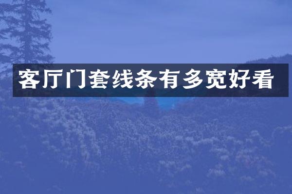 客厅门套线条有多宽好看