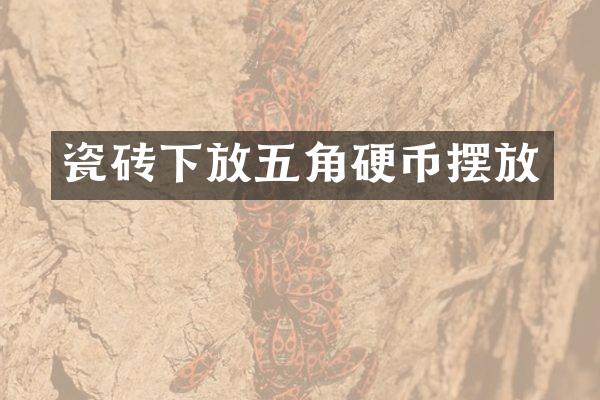 瓷砖下放五角硬币摆放