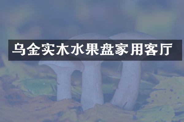 乌金实木水果盘家用客厅
