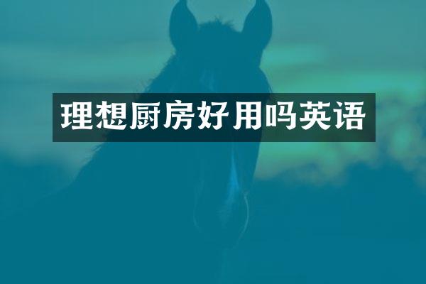 理想厨房好用吗英语